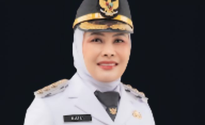 Walikota Palopo, Naili Trisal